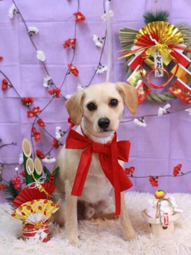 20230108ユキチくん